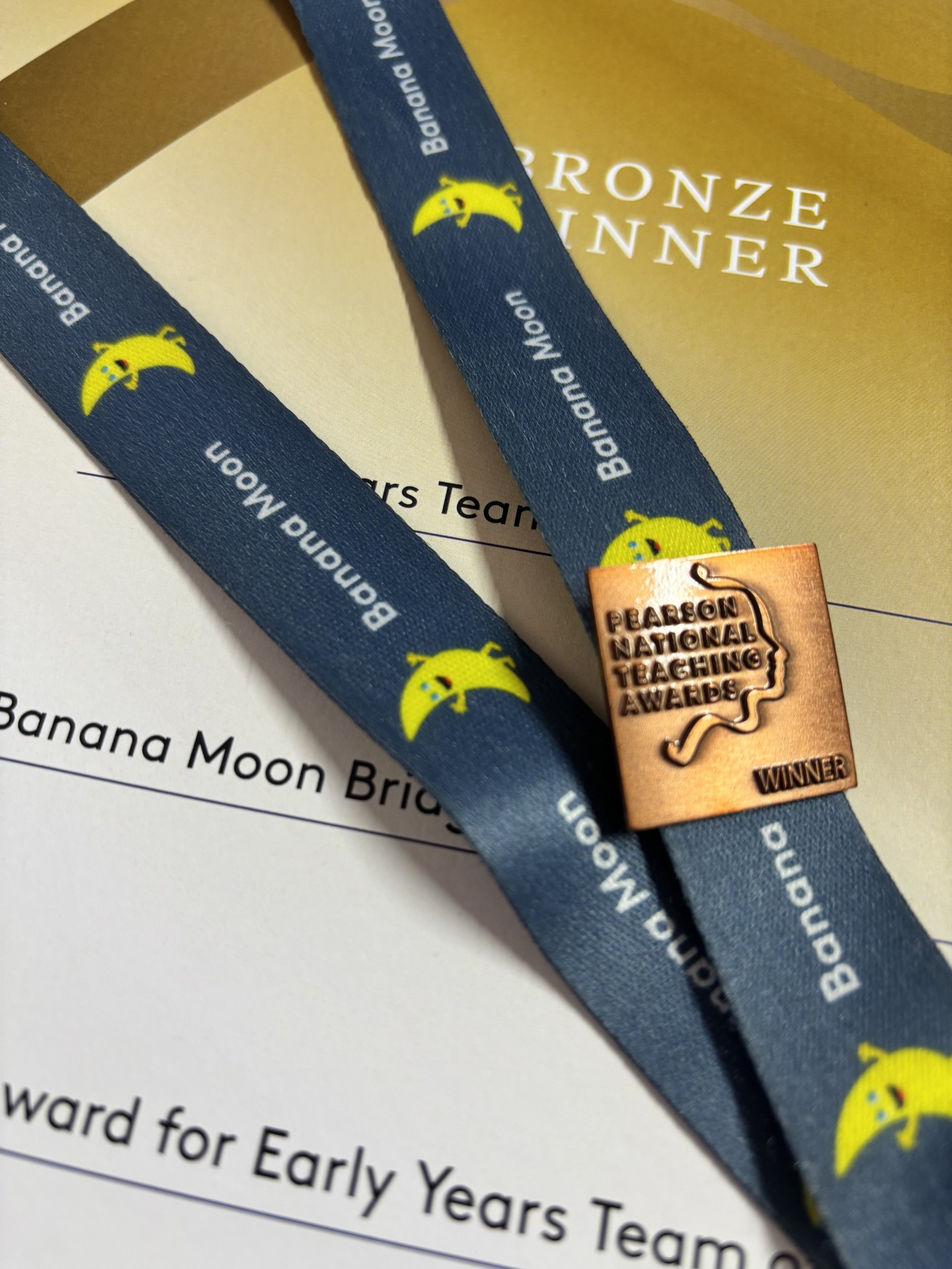 Pearson teachin bronze award